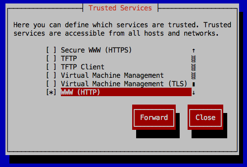 w02-allow-www-http-service